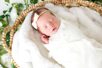 Alice Hansen Newborns-7