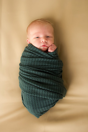 Parker Newborns-11