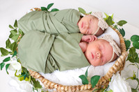 Dockstader Twins Newborns-4