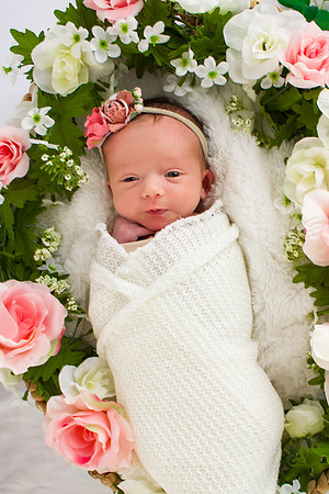 Evelyn Newborns-9