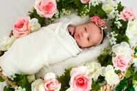 Evelyn Newborns-8