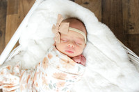Dockstader Twins Newborns-8