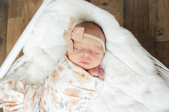 Dockstader Twins Newborns-8