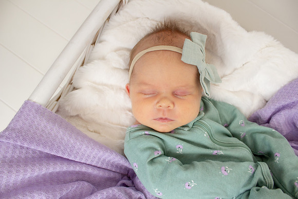Dockstader Twins Newborns-15