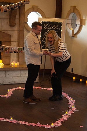 ty proposal part 2-6