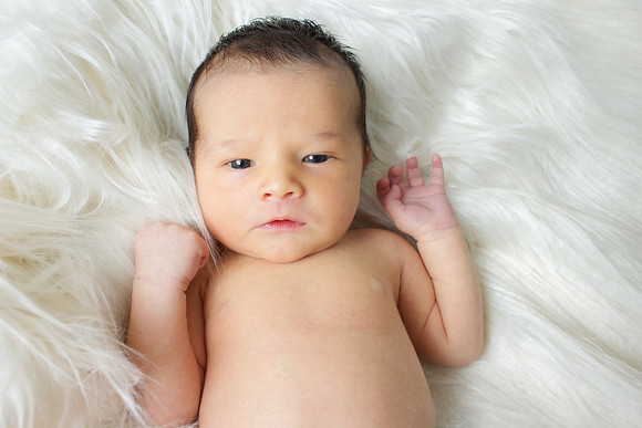 Owen Newborns 2024-56