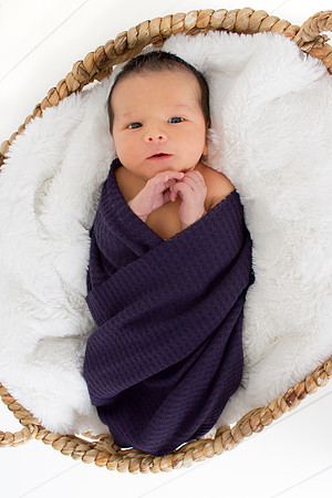 Owen Newborns 2024-46